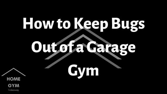 How to Keep Bugs Out of a Garage Gym